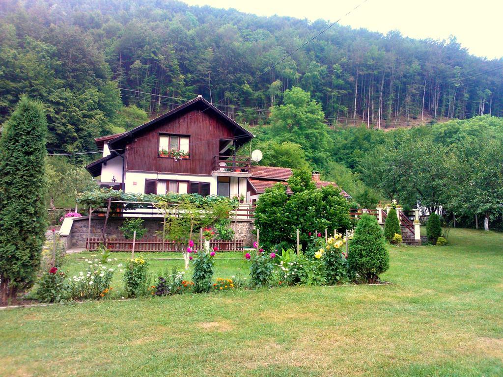 Villa Lalka Ribarica Exterior photo